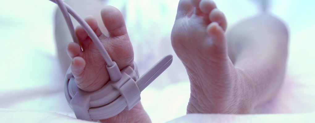 Baby feet in incubator