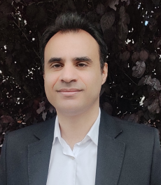Hamid Heidarian